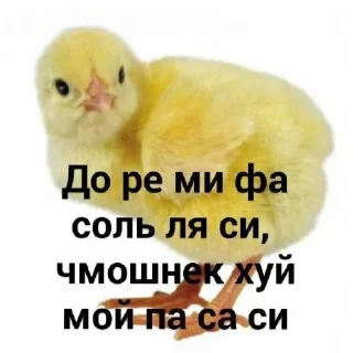😄 emoji Арабы Telegram sticker 24 of 43