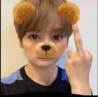 🖕 emoji knowlee_core Telegram sticker 8 of 108
