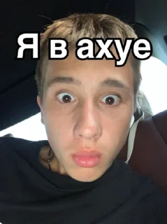 😳 emoji Тишка🫡 Telegram sticker 6 of 16