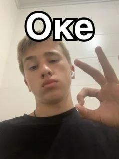 👌 emoji Тишка🫡 Telegram sticker 13 of 16