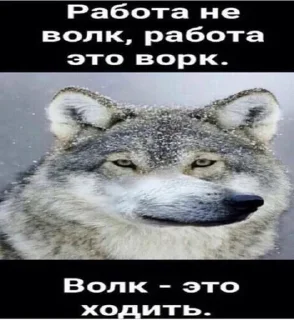 🐺 emoji Ауф Telegram sticker 13 of 53