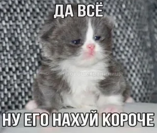 🙄 emoji рофляночка @giypirno Telegram sticker 6 of 51