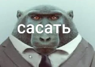 Sticker from обезьянки