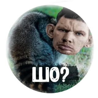 😏 emoji @TVstickers Cheers Telegram sticker 14 of 52