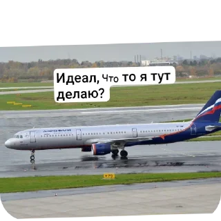 🧐 emoji ХЛАМОЗОВЫ САНКТ-ПЕТЕРБУРГ Telegram sticker 19 of 65