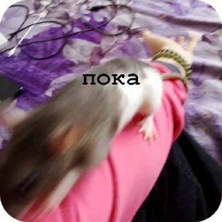 😀 emoji катюшка Telegram sticker 8 of 11