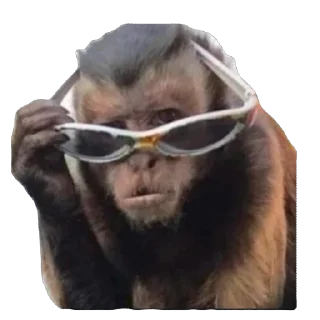 🫥 emoji Пак Владислава П Telegram sticker 5 of 52