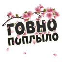 Sticker from Весна @StikeryTG