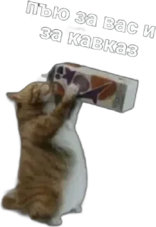 Sticker from шлюшка поварюшка