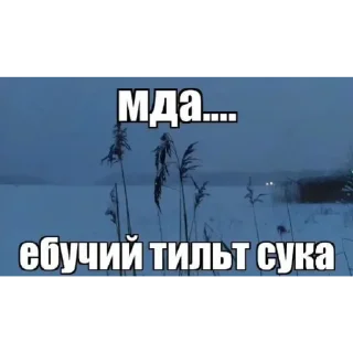 Sticker from жиза