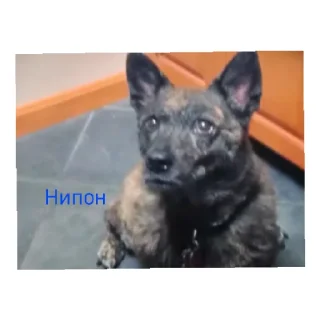 Sticker from Без названия...
