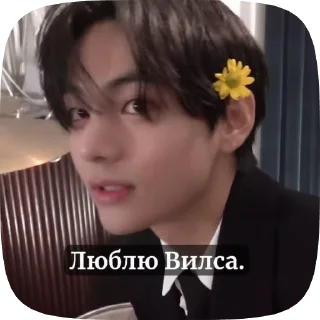 🌟 emoji Вино любит... Telegram sticker 14 of 14