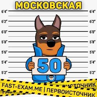 Sticker from Все регионы @fast_exam