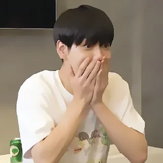 🏁 emoji soobin @xrafxx Telegram sticker 11 of 55