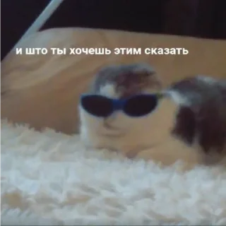 🤦‍♂ emoji иди нахуй,не придумал Telegram sticker 19 of 71
