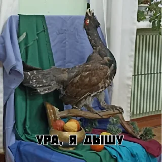 🎉 emoji Художка Telegram sticker 17 of 26
