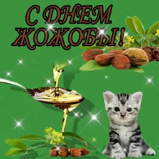 🪲 emoji ОткрытОчки на всё случаи жизни Telegram sticker 20 of 107