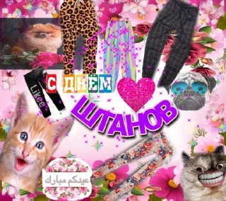👖 emoji ОткрытОчки на всё случаи жизни Telegram sticker 2 of 107