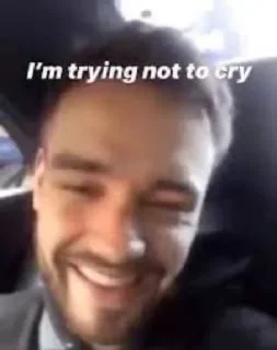 🤣 emoji it's all payne no liam Telegram sticker 1 of 82