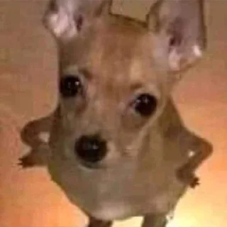 🐶 emoji Аватары Года Telegram sticker 17 of 76