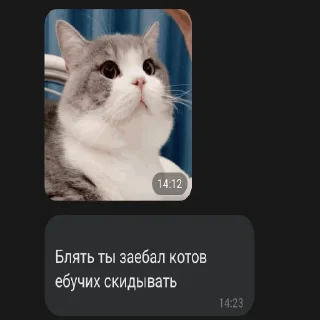😺 emoji Вафельное настроение Telegram sticker 9 of 50