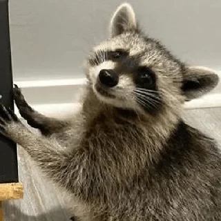 🫥 emoji Енотусы и их друзья Telegram sticker 24 of 120