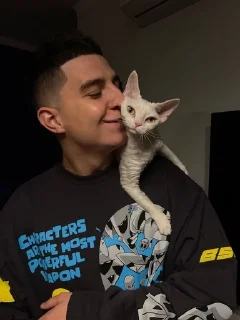 ❤️ emoji А4 котики Telegram sticker 15 of 73