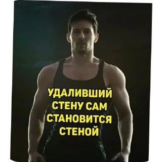 💪 emoji Паша Дуров 🥰 #FREEDUROV Telegram sticker 17 of 40