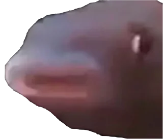 🐟 emoji Хочу спать Telegram sticker 11 of 34