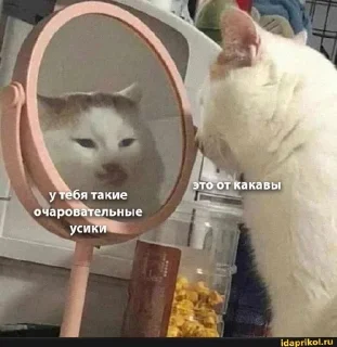 ☕ emoji Жейски мемчики Telegram sticker 15 of 99