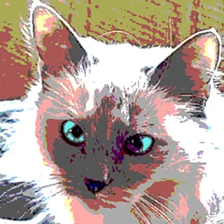 🥶 emoji я себя ненавижу Telegram sticker 12 of 36