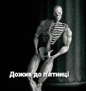 🌟 emoji Життєві скелети by @LOL_Blender_UA Telegram sticker 24 of 83