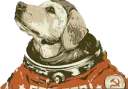 🐶 emoji Коммунизм, коммунизм never changes Telegram sticker 16 of 35