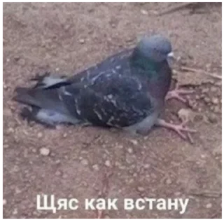 😑 emoji на случай важных переговоров Telegram sticker 18 of 93