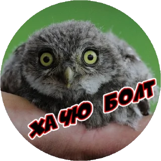 😁 emoji @TVstickers Angry Telegram sticker 9 of 35