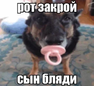 💀 emoji мияги угрожал таджиками кириешке Telegram sticker 7 of 8