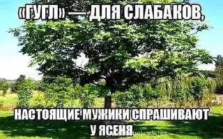 🌳 emoji Umora Lite Telegram sticker 12 of 47