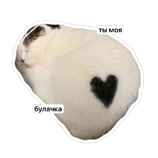 Sticker from котёнки <3