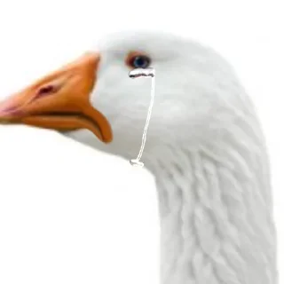 😭 emoji Гуси [] Telegram sticker 18 of 23