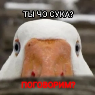 🤬 emoji Гуси [] Telegram sticker 9 of 23
