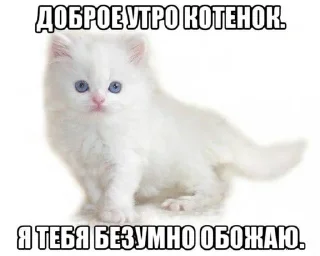 Sticker from китики