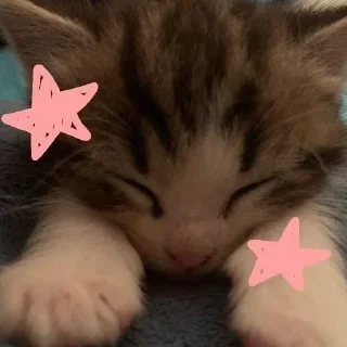 💗 emoji Сука, убейте меня Telegram sticker 21 of 32