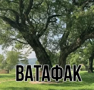 Sticker from КАРТИНКИ🏞 @BESTSTICKL