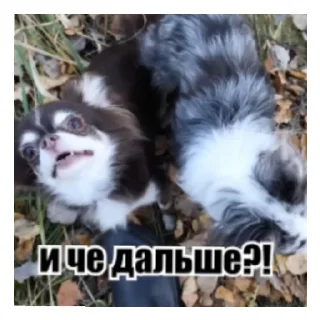 😄 emoji ❤️ ANNY MAGIC FAMILY ❤️ Telegram sticker 8 of 52