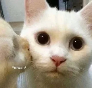 😘 emoji пирипапу Telegram sticker 19 of 35
