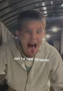 😑 emoji гуси лебеді Telegram sticker 23 of 49