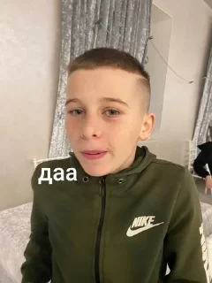 😡 emoji гуси лебеді Telegram sticker 9 of 49