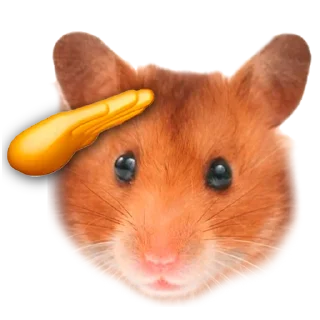 🫡 emoji Х О М Я К И — @IMOEX Telegram sticker 16 of 52