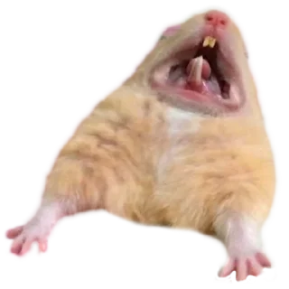 😫 emoji Х О М Я К И — @IMOEX Telegram sticker 10 of 52