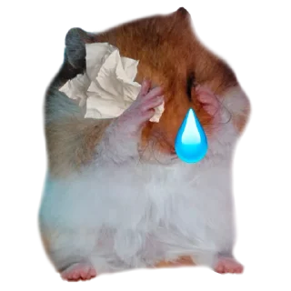😪 emoji Х О М Я К И — @IMOEX Telegram sticker 5 of 52